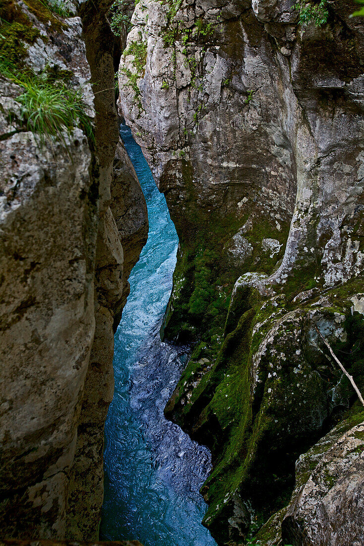 View to river Soca, Alpe-Adria-Trail, Trenta,  Slovenia