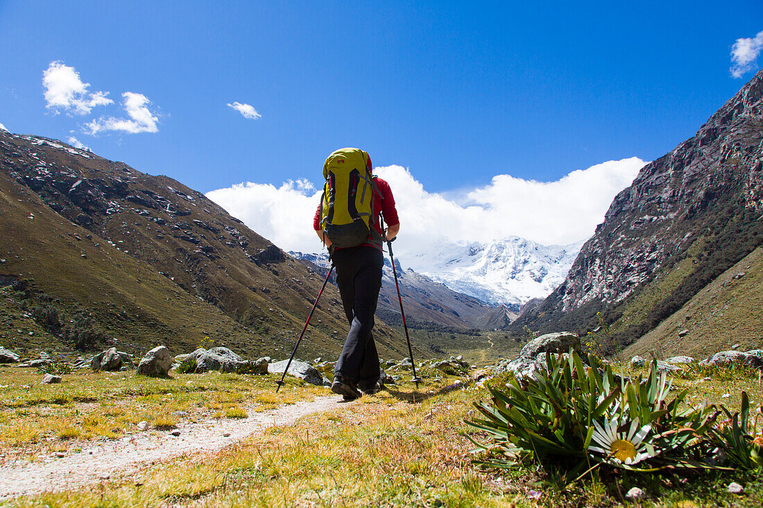 Wanderer auf einem Bergpfad, Tocllaraju im Hintergrund, Pashpa, Ishinca Tal, Huaraz, Ancash, Cordillera Blanca, Peru