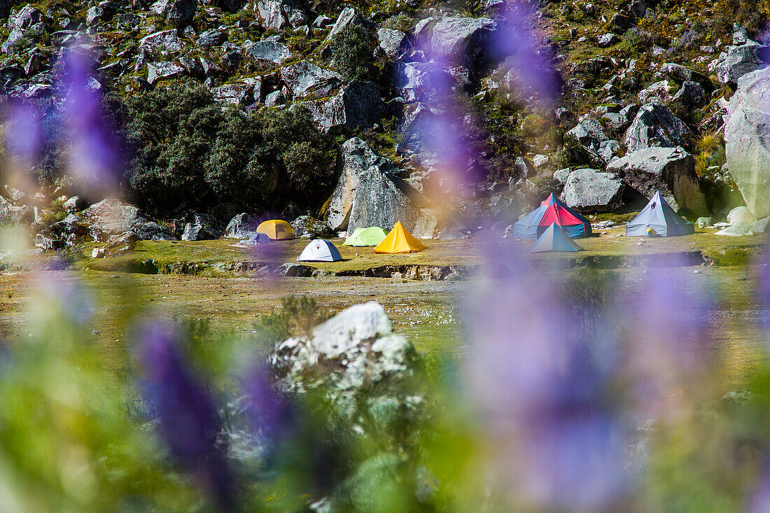 Tents in the Ishinca Valley base camp, Pashpa, Huaraz, Ancash, Cordillera Blanca, Peru