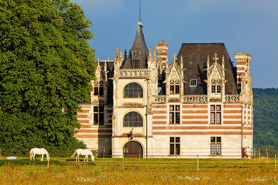 Chateau d'Etelan, 15th century, gothic flamboyant style, Saint-Maurice-d'Etelan, Normandy, France