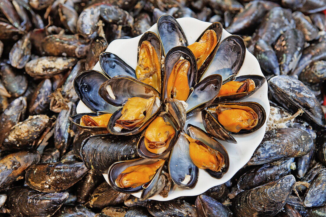 Display of mussles at the fish market in Trouville-sur-mer, Lower Normandy, Normandy, France
