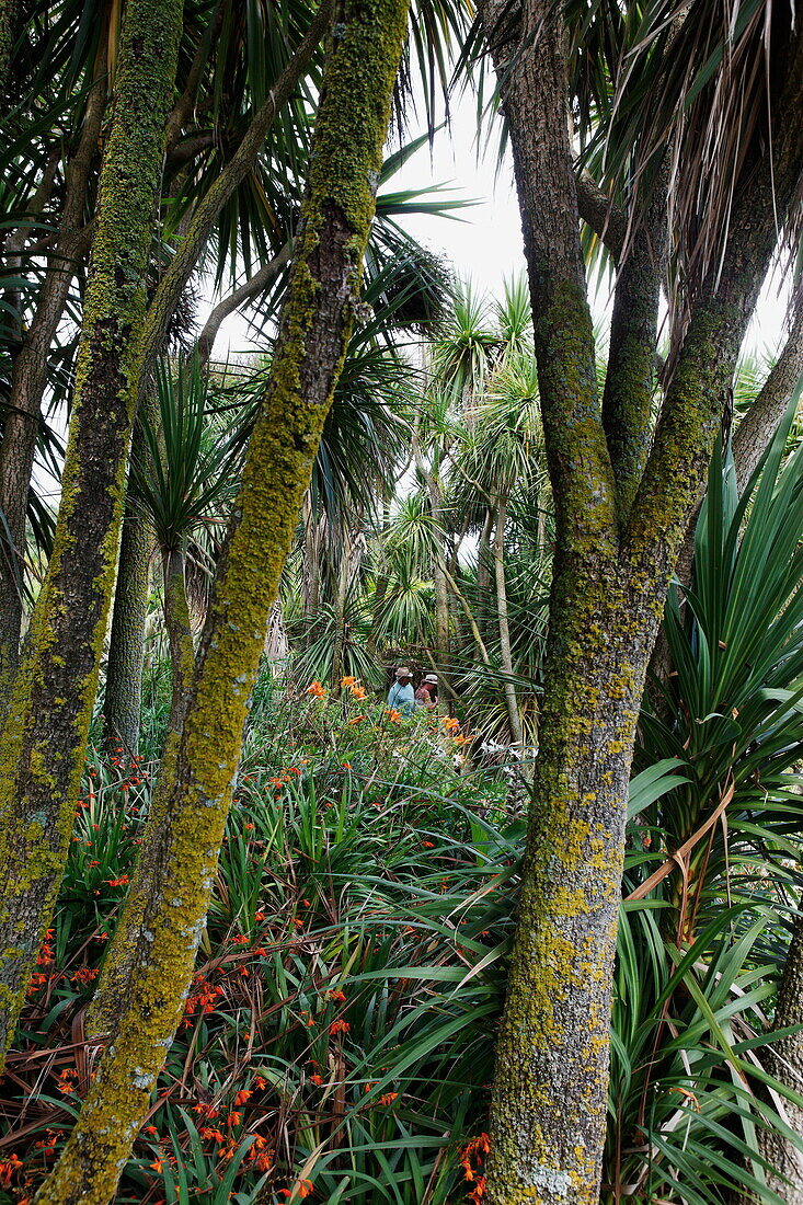 Jardin botanique de Vauville, Vauville, Cotentin, Normandie, Frankreich