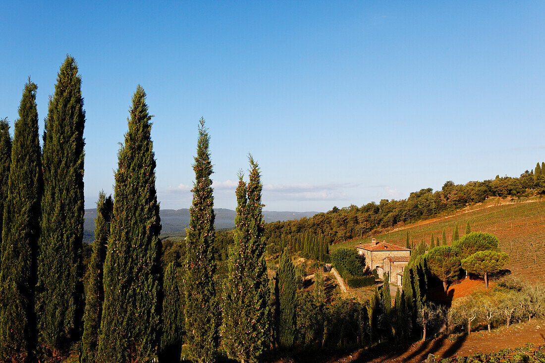 Albola, Radda in Chianti, Tuscany, Italy