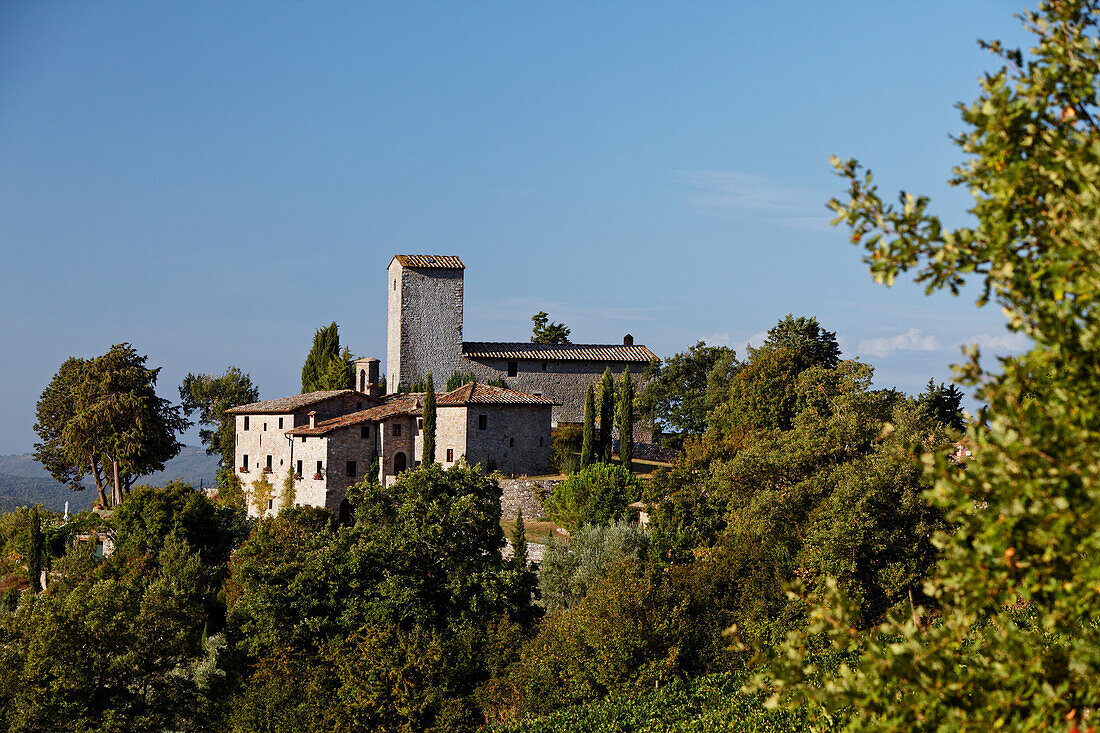 Castello d'Albola, Radda in Chianti, Toskana, Italien