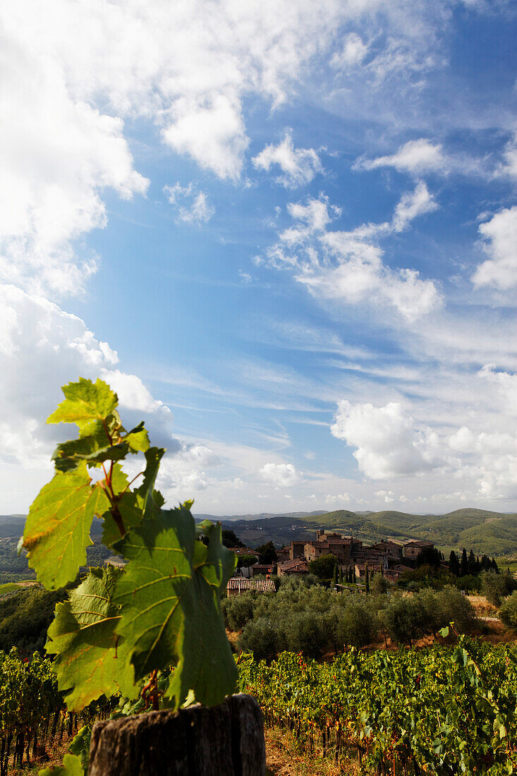 Volpaia ist ein kleiner Weinort im Chianti classico Gebiet, Toskana, Italien