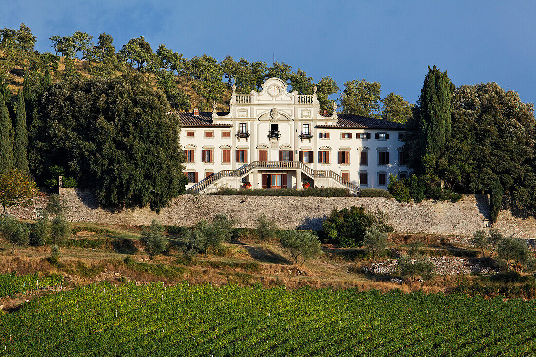 Winery Villa Vistarenni, Gaiole in Chianti, Tuscany, Italy