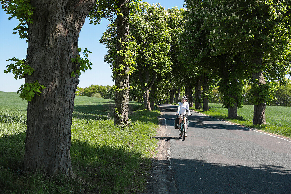 Fahrradfahrerin fährt durch einen Allee, bei Boitzenburg, Uckermark, Brandenburg, Deutschland