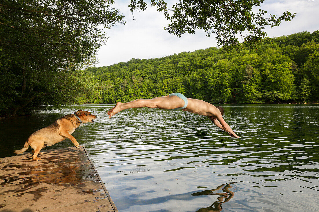 Man jumping into lake Schmaler Luzin, Feldberger Seenlandschaft, Mecklenburg-Western Pomerania, Germany