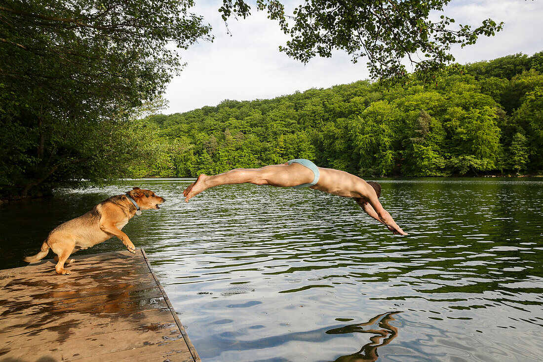 Mann springt ins Wasser, Schmaler Luzin, Naturpark Feldberger Seenlandschaft, Mecklenburg-Vorpommern, Deutschland