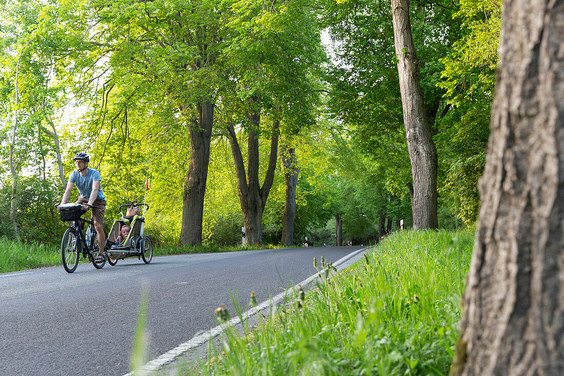 Fahrradfahrer mit Kinderanhänger auf einer Landstrasse, Naturpark Feldberger Seenlandschaft, Mecklenburg-Vorpommern, Deutschland