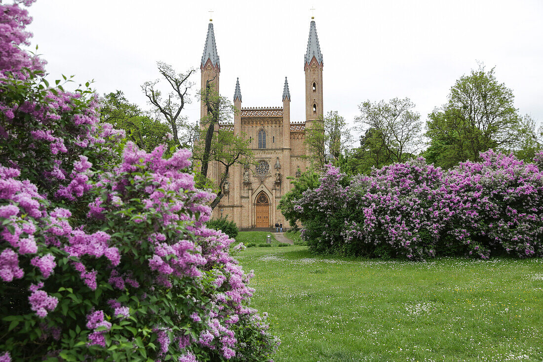 Castle church, Neustrelitz, Mecklenburg-Western Pomerania, Germany