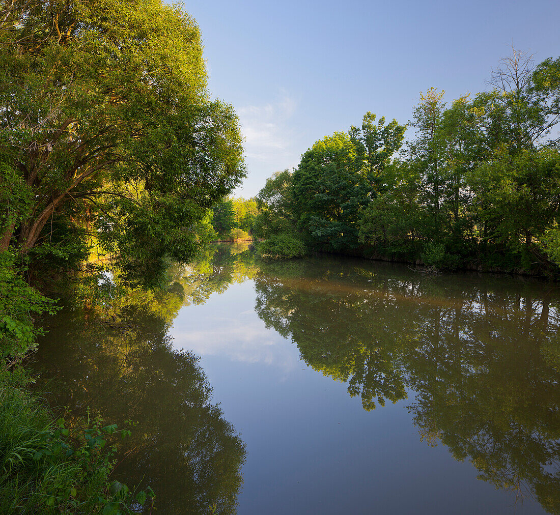 Raab wetlands, Fehring, Styria, Austria