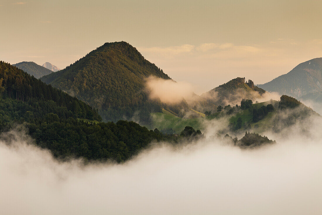 Blick ins Alpenvorland bei Maria Neustift, Bertelkogel, Oberösterreich, Österreich