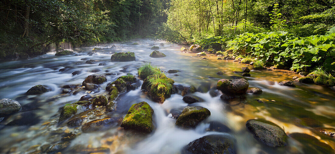 Fluss Steyr, Hintertambergau, Oberösterreich, Österreich