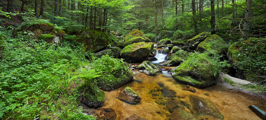 Gießenbach, Stillensteinklamm, Grein an der Donau, Oberösterreich, Österreich