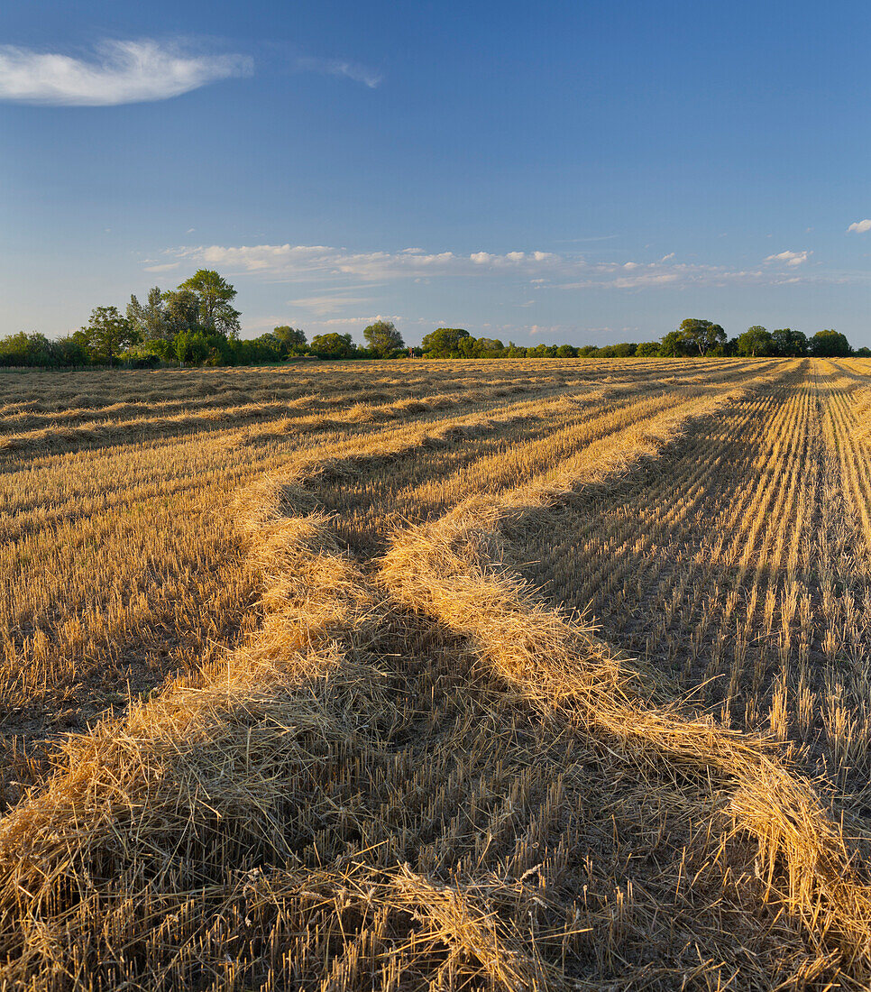 Fields, Loretto, Burgenland, Austria