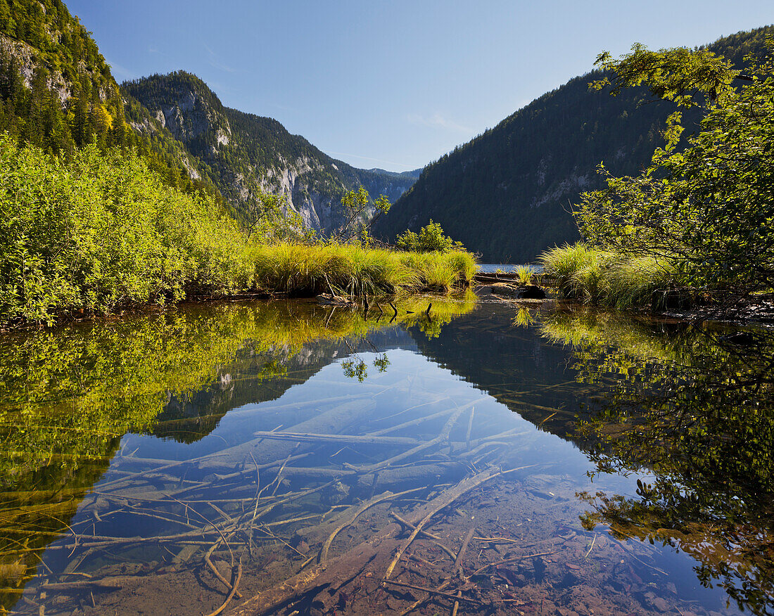 Lake Toplitzsee with reflection, Salzkammergut, Styria, Austria