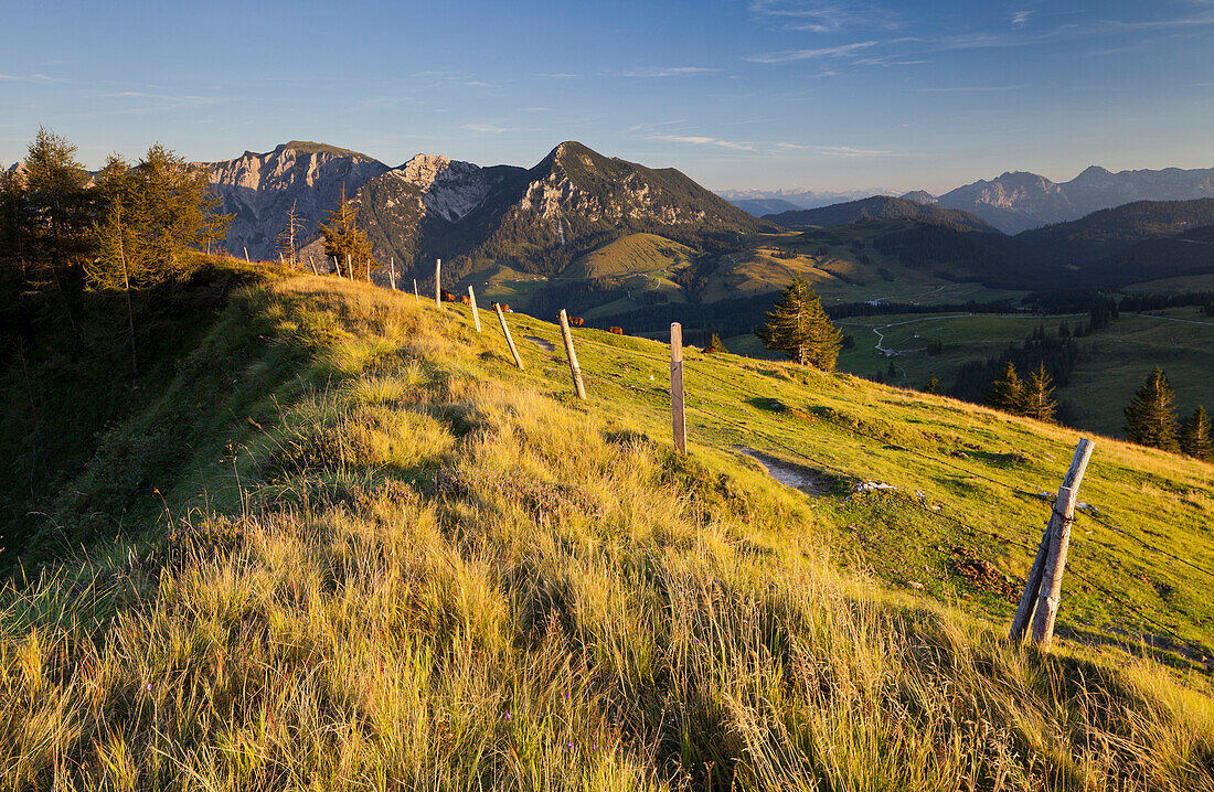 Blick von Thorhöhe auf Gamsfeld (2027m), Postalm, Salzburg Land, Österreich