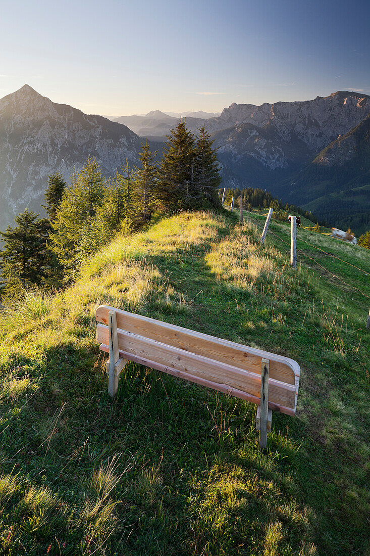 View from Thorhoehe to Rinnkogel (1823m) and Gamsfeld (2027m), Wooden bench on the Postalm, Salzkammergut, Salzburg Land, Austria