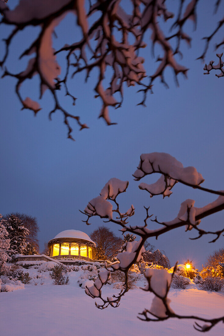 Snowy branches, Beethoven temple in the Kurpark, Baden near Wien, Thermenregion, Lower Austria, Austria