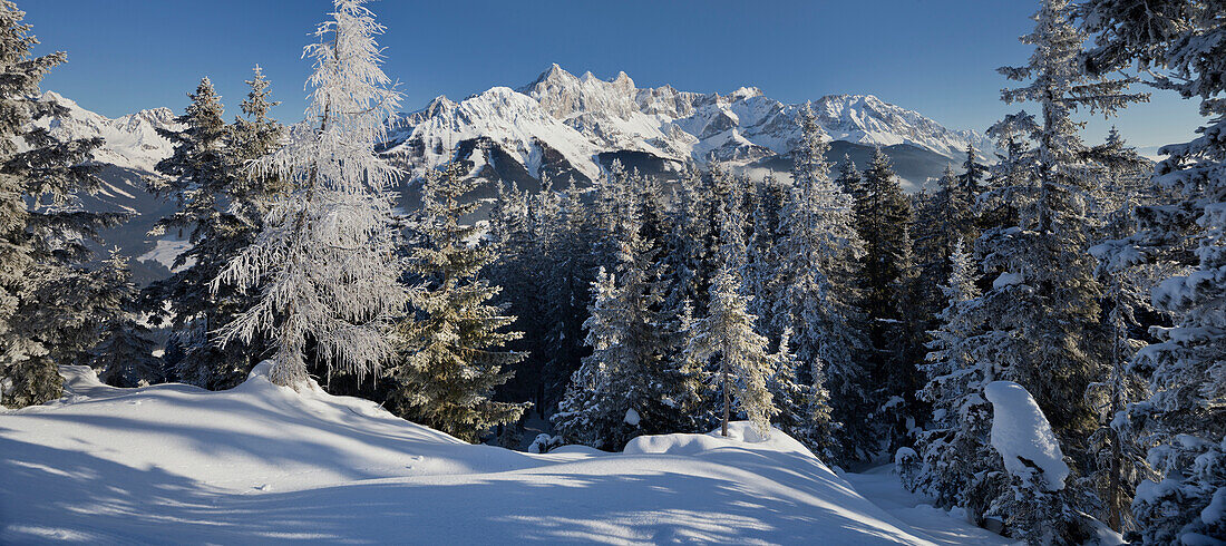 Blick vom Rossbrand auf Hoher Dachstein, Filzmoos, Salzburg Land, Österreich