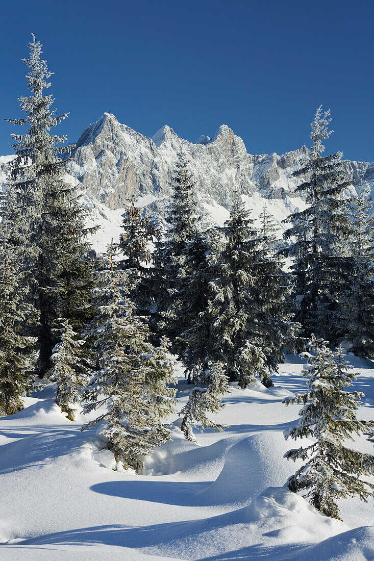 Blick vom Rossbrand auf Hoher Dachstein, Filzmoos, Salzburg Land, Österreich