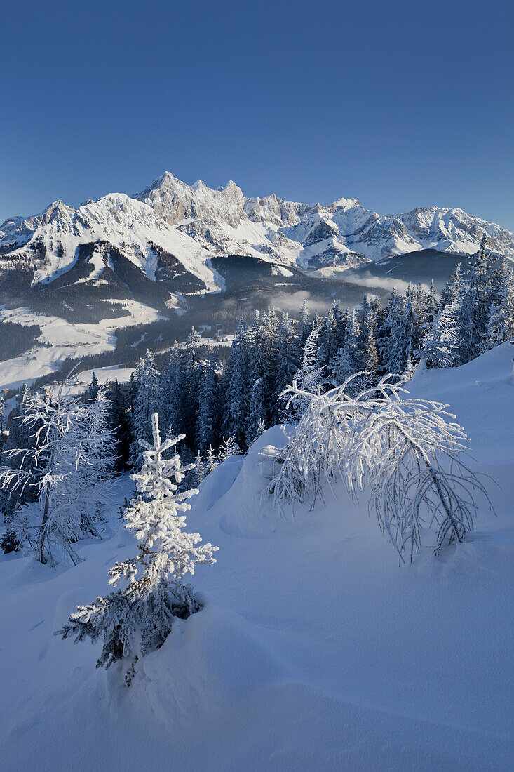 Blick vom Rossbrand auf Hoher Dachstein, Filzmoos, Salzburg Land, Österreich