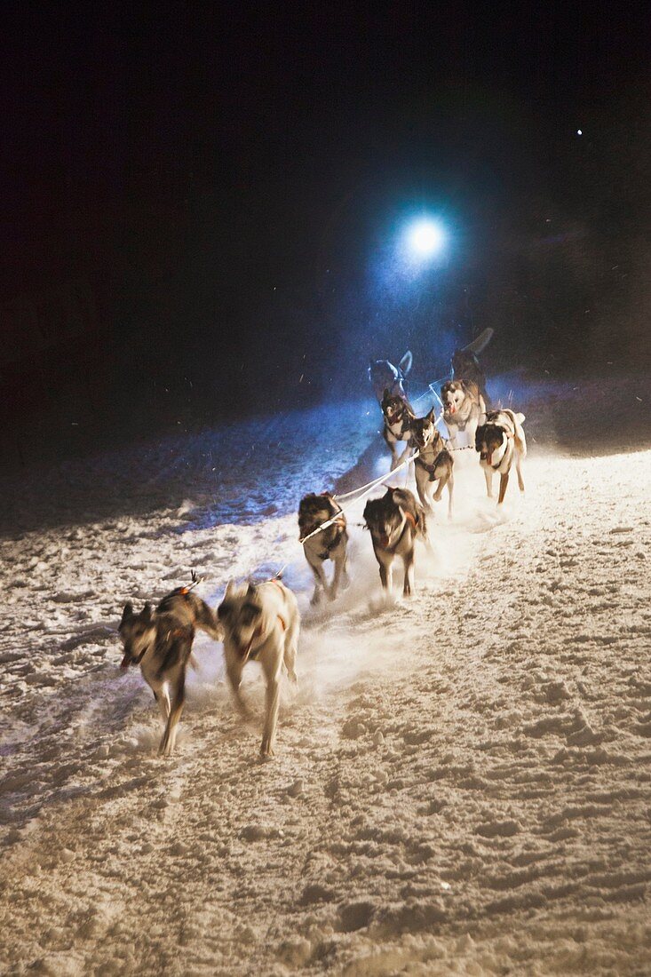 Pirena Advance is a 15 days long sleddog race across the Pyrenees  Spain-France-Andorra Scoring for the world sleddog championship, it is one of the reference races in Europe  It has been held between January and February for 22 years  Pirena  Sled  Dog  