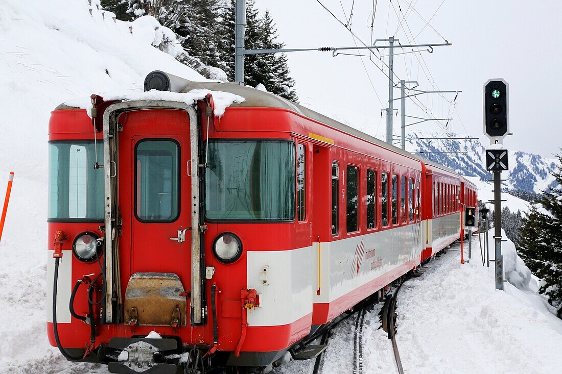 Switzerland, The Graubunden canton, the glacier express train, mountain rack train from Saint-Moritz to Zermatt