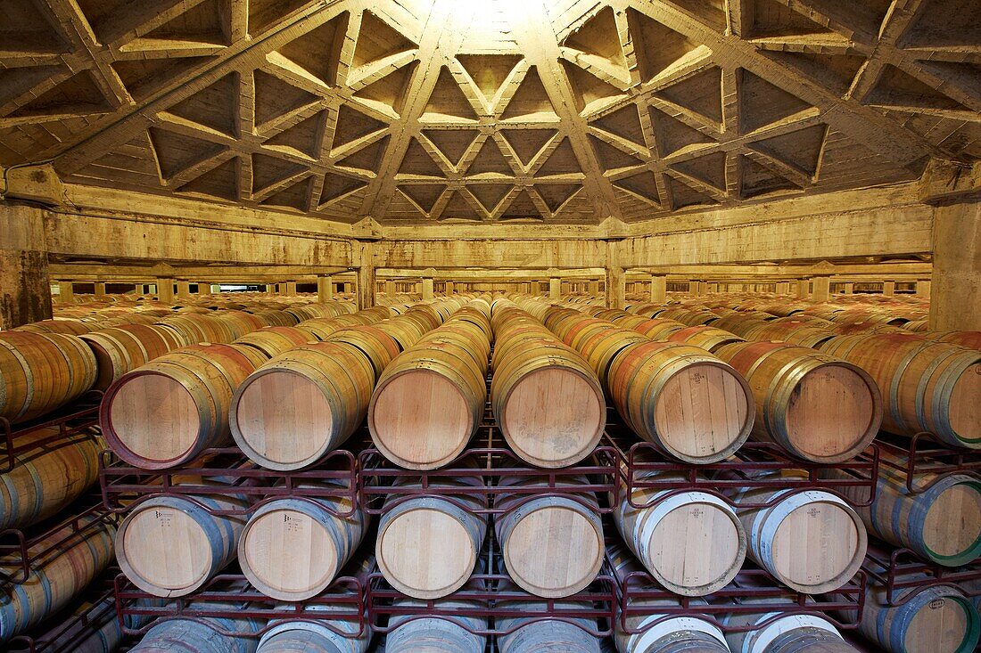 Wine cellar, Aging wine storage in barrels, Olarra winery, Rioja, Logroño, Spain