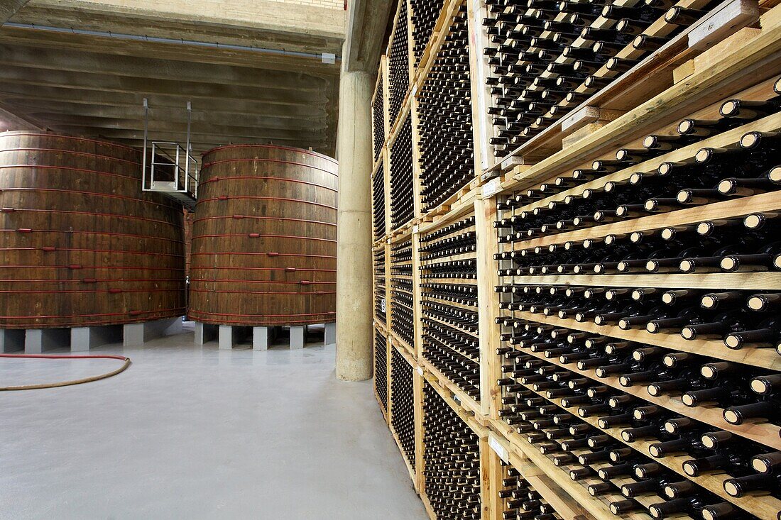 Bottle rack, Wine cellar, Aging wine storage in barrels, Olarra winery, Rioja, Logroño, Spain