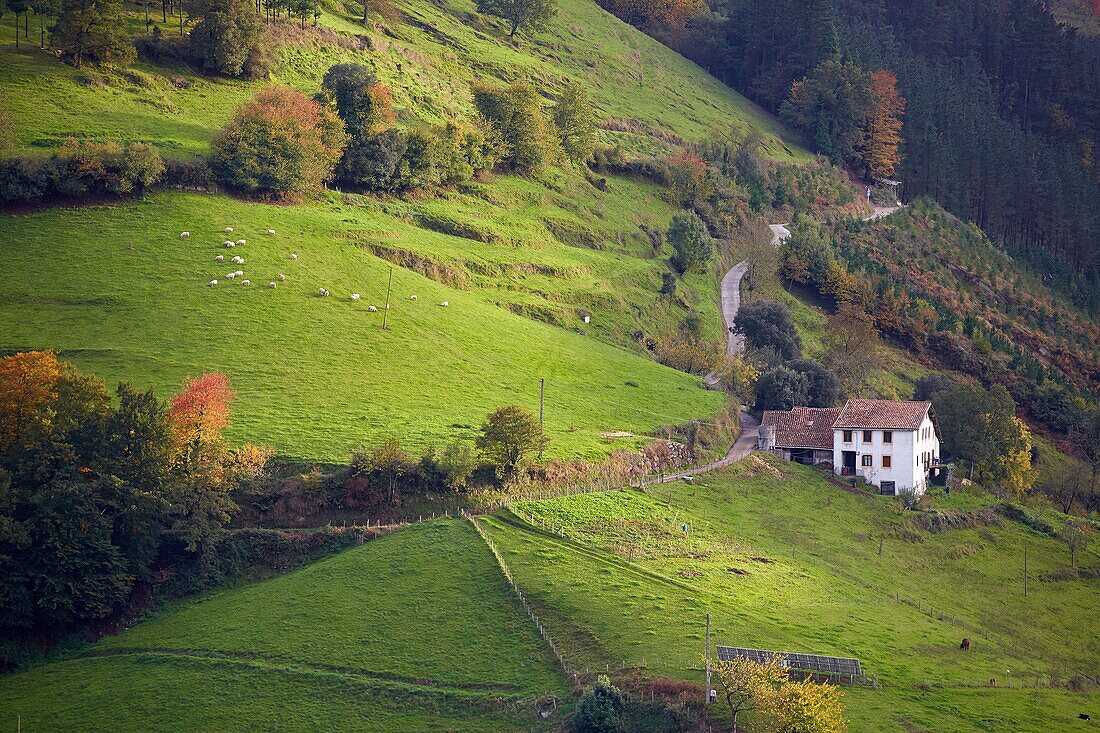 Bauernhäuser, Eibar, Gipuzkoa, Baskenland, Spanien.