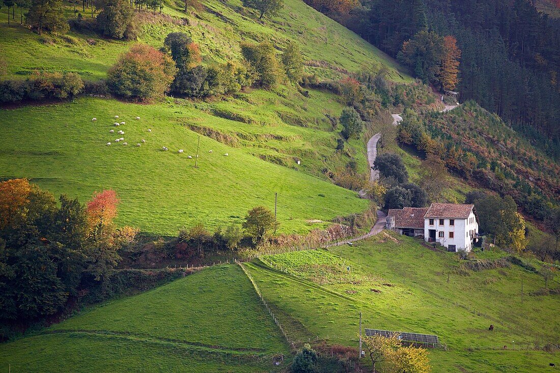 Farmhouses, Eibar, Gipuzkoa, Basque Country, Spain.
