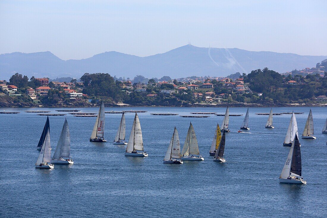 Segelboote in der Ria de Vigo, Blick von Baiona, Pontevedra, Galicien, Spanien.