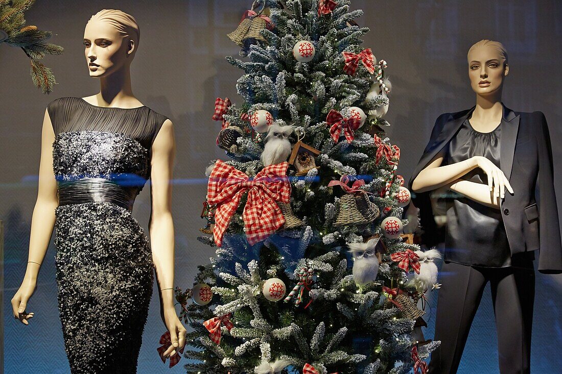 Schaufenster mit Weihnachtsbaum, Bilbao, Bizkaia, Baskenland, Spanien.