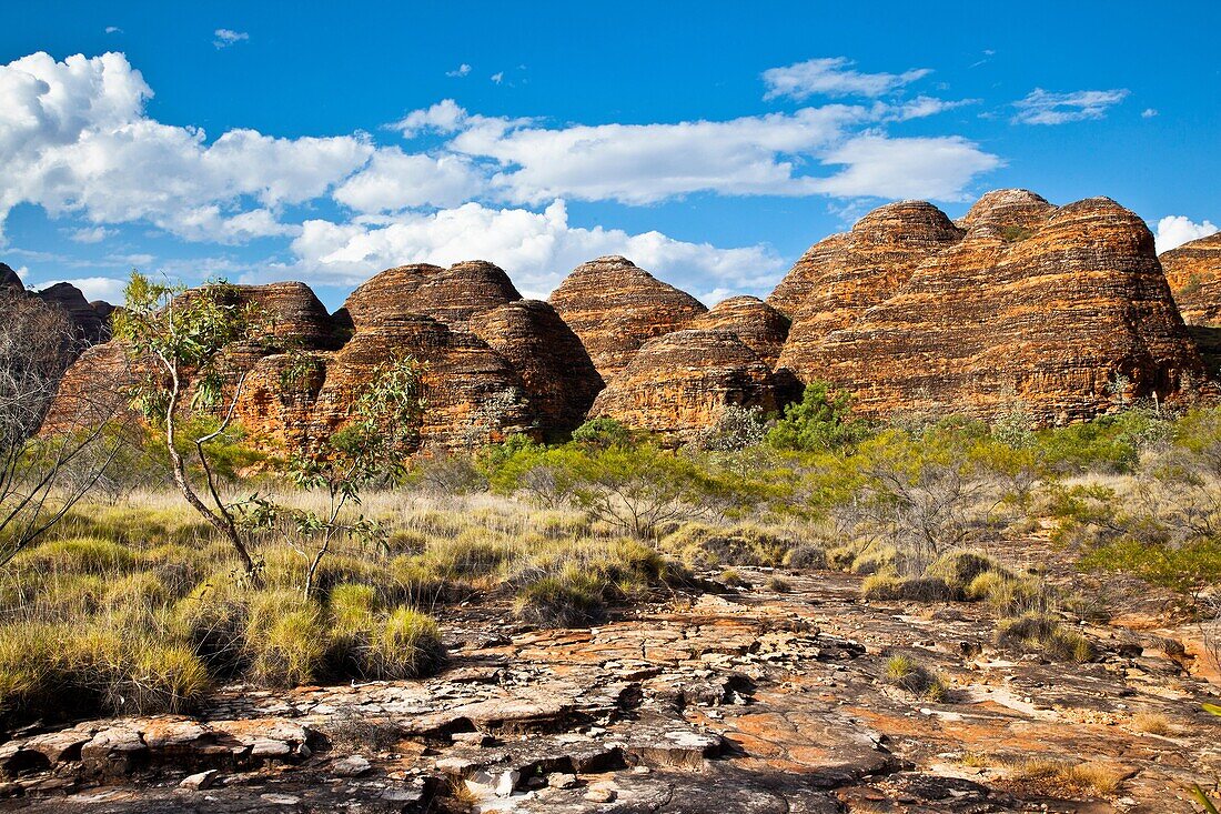 Australia, Western Australia, The Kimberley Region, Bungle Bungle National Park, Purnululu, view of the characteristic beehive shaped sandstone domes