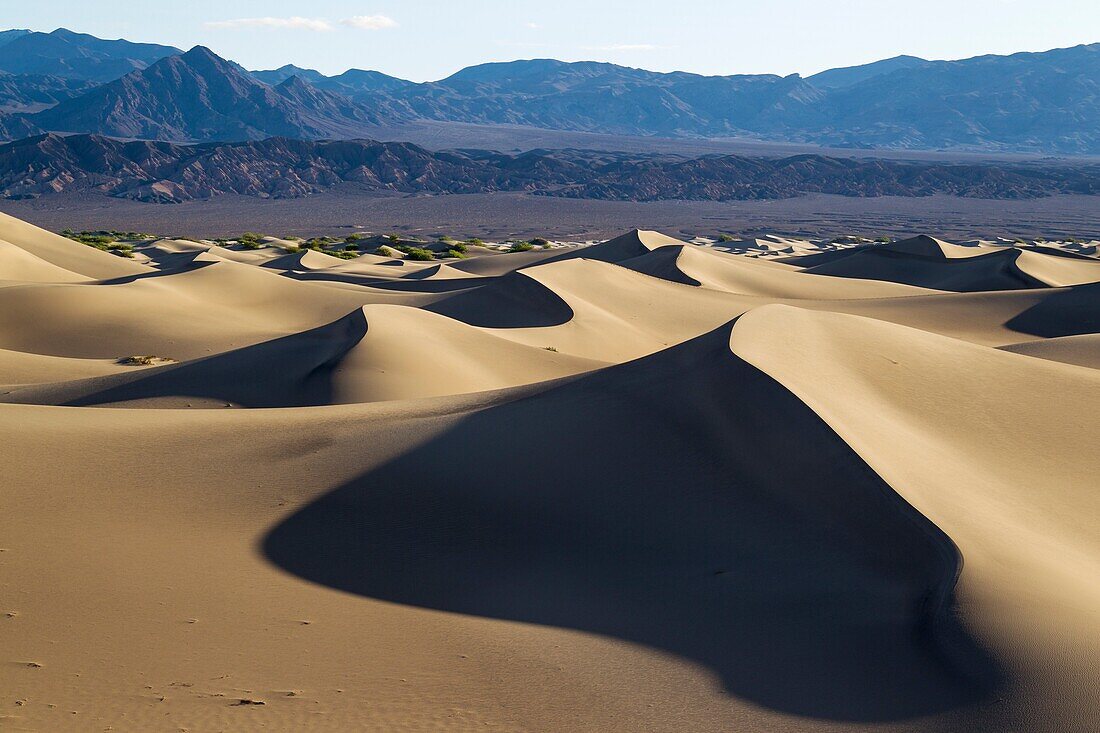 Mesquite Flat Sand Dunes and Amargosa Range in the Death Valley in the early morning  Death Valley National Park, California, USA