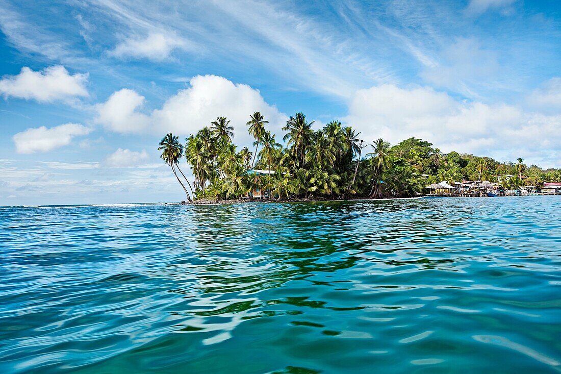 Carenero island, Bocas del Toro province, Caribbean sea, Panama.