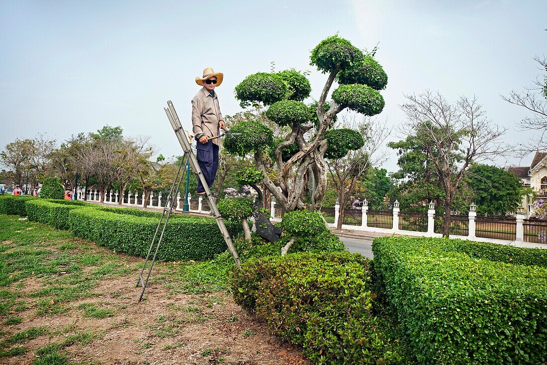 gardener, Ayutthaya, Thailand.