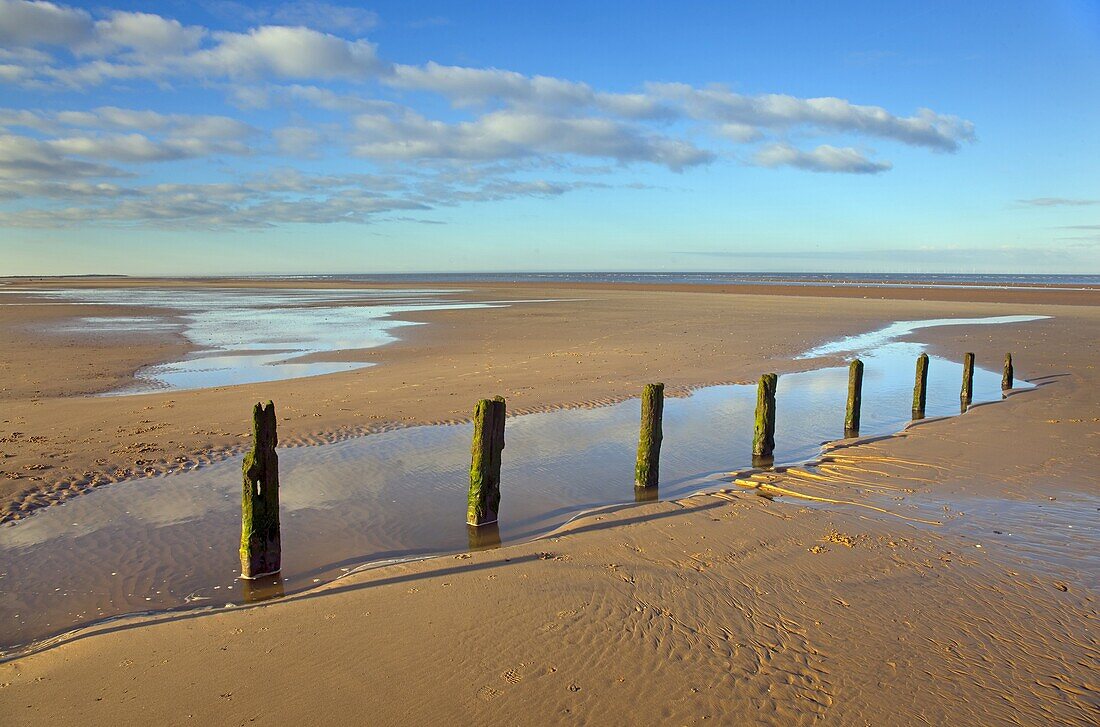 Brancaster beach old groynes North Norfolk UK Winter