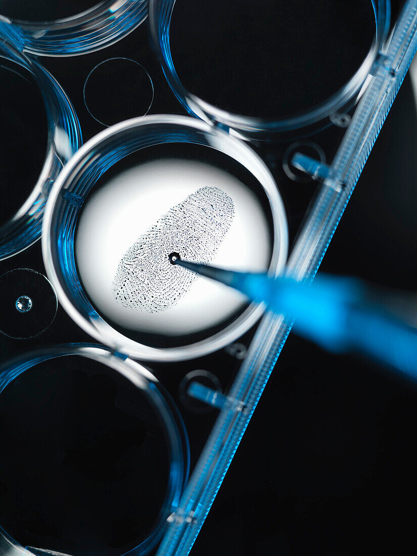 Close up of finger print in forensic lab. Finger print in specimen well illustrating genetics and forensics, testing. Experiment,DNA, finger print,human, human genome,pharmaceutical research,biochemistry,identity,healthcare, human evidence,life science,ad