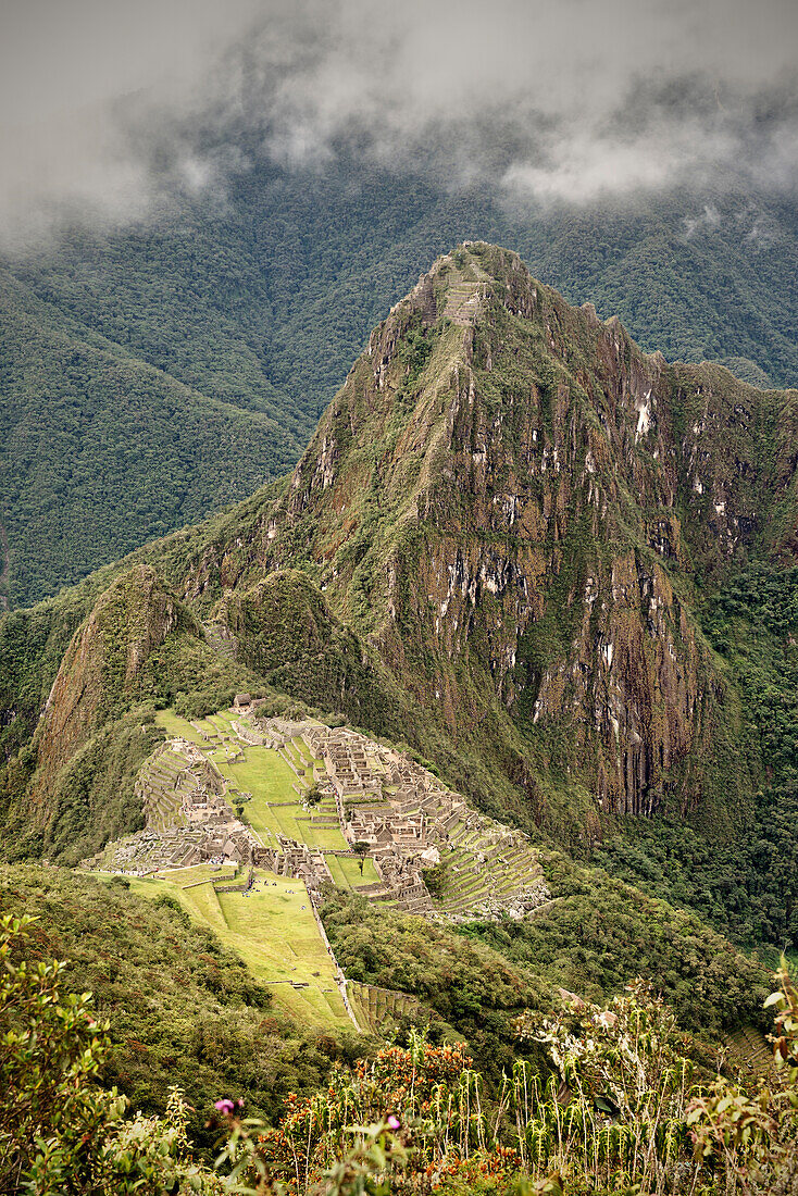 Blick auf Inka Ruinen, Machu Picchu, Cusco, Cuzco, Peru, Anden, Südamerika