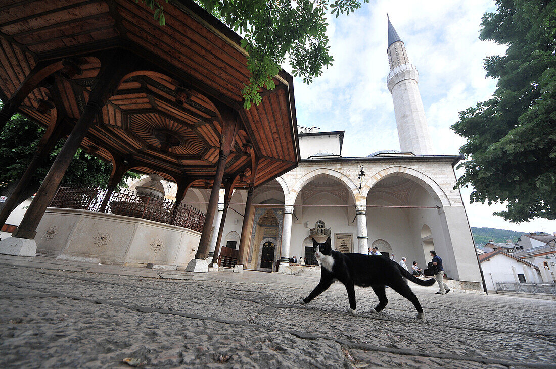 Gazi-Husrev-Beg-Mosque in the old town, Sarajevo, Bosnia and Herzegovina