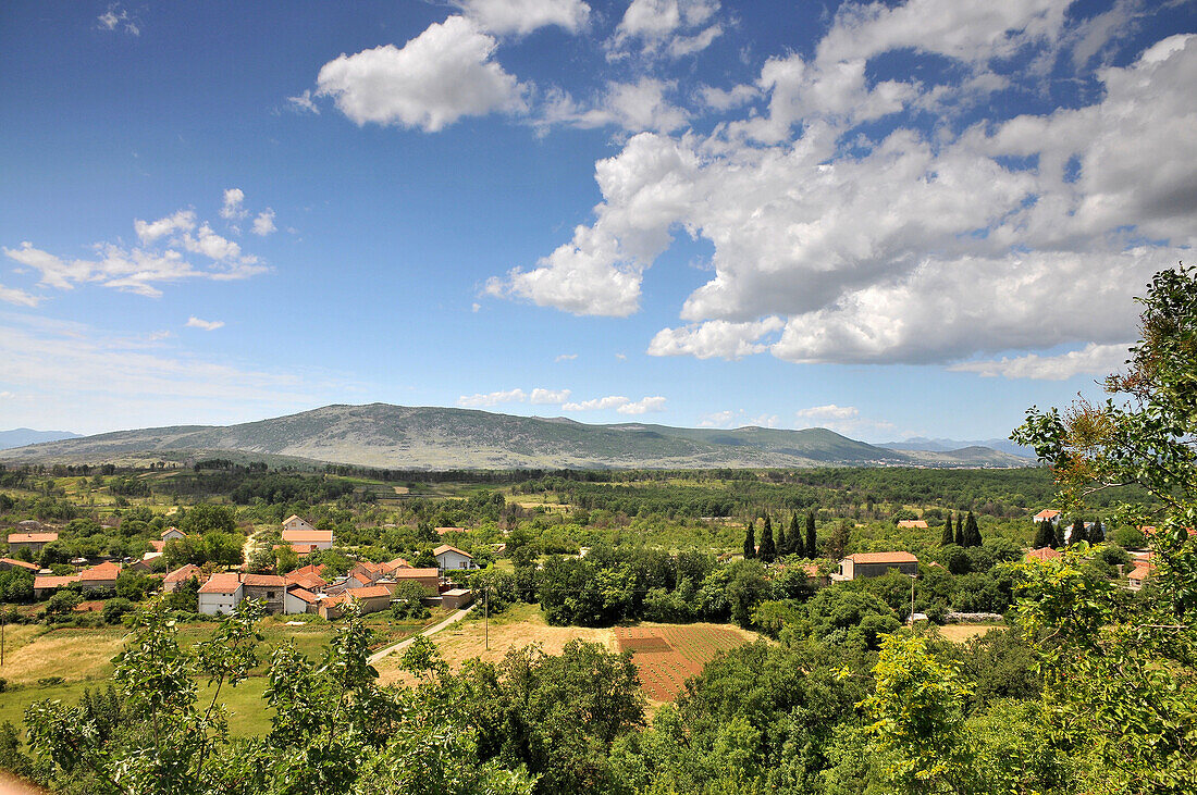 Weinanbau bei Medugorje südl. von Mostar, Bosnien und Herzegowina