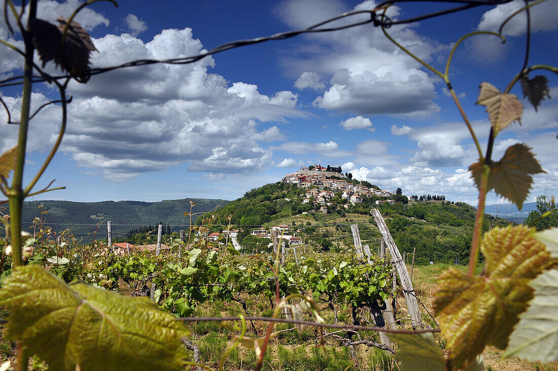 Bergdorf Motovun, Zentral-Istrien, Kroatien