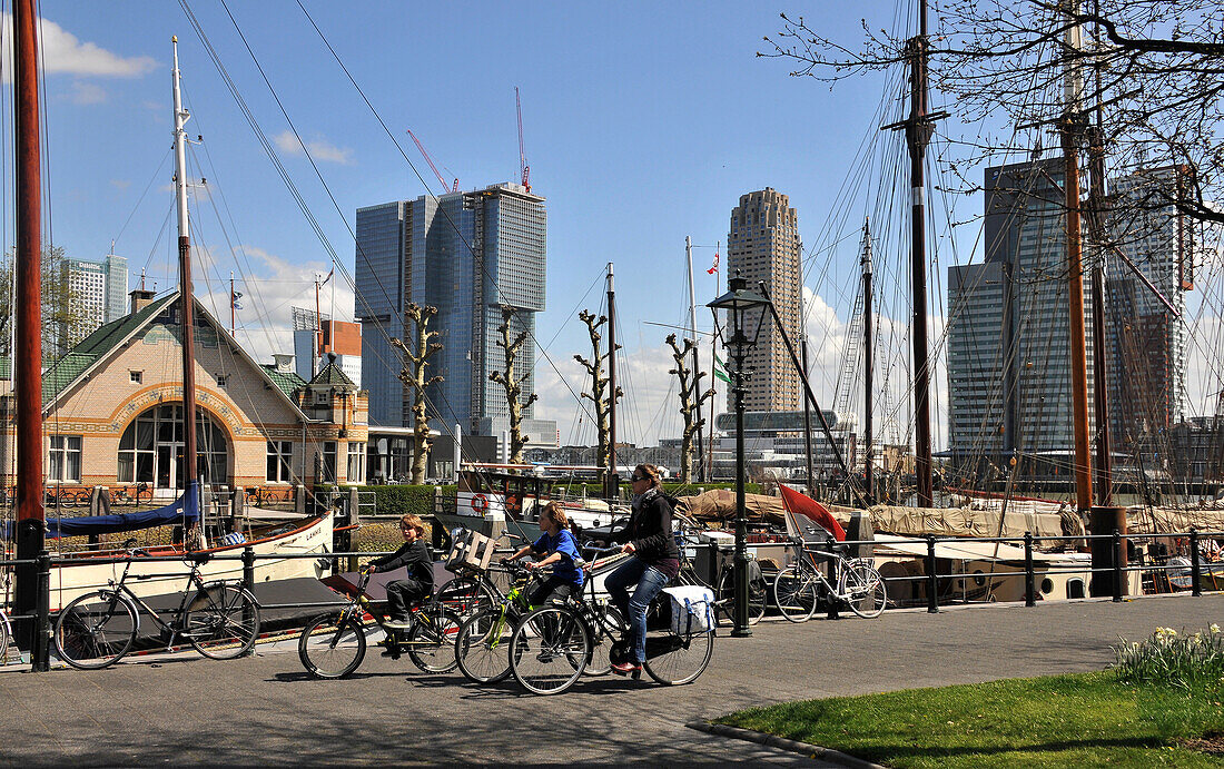 Blick über den Veerhaven auf die Ostseite, Rotterdam, Niederlande