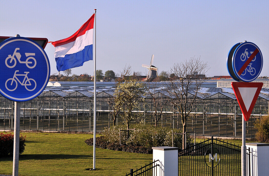 Greenhouses near Maasdijk near Rotterdam, The Netherlands