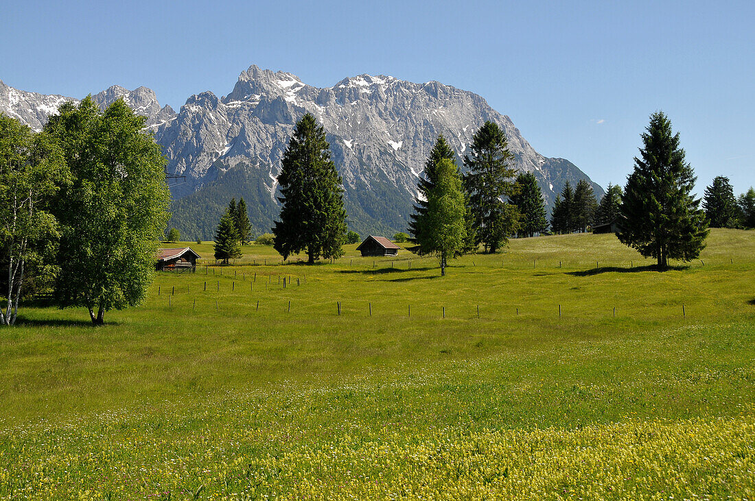 in den Buckelwiesen am Karwendelgebirge bei Mittenwald, Landschaften in Bayern, Deutschland