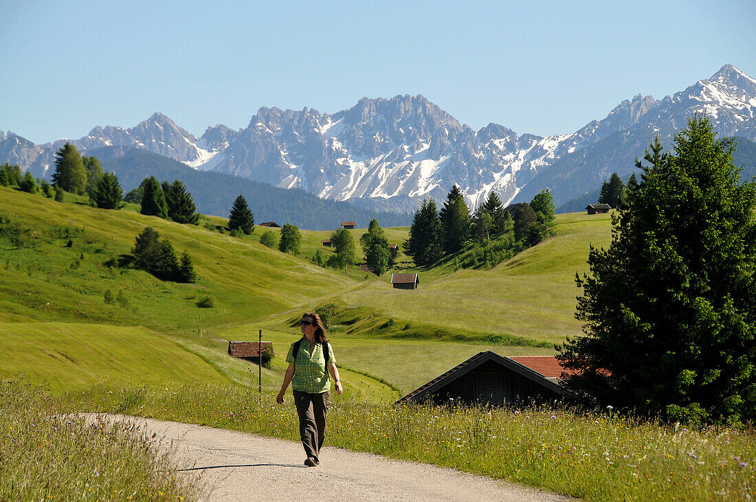Wanderer in den Buckelwiesen am Karwendelgebirge bei Mittenwald, Landschaften in Bayern, Deutschland