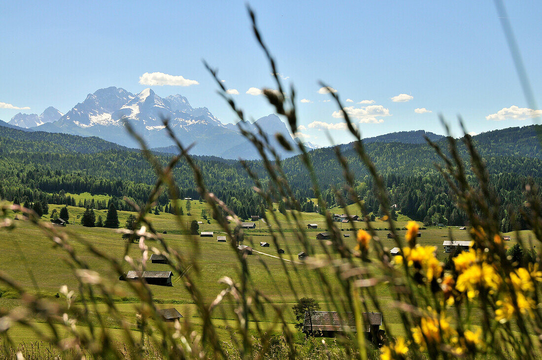 View across meadows towards the Wetterstein mountain range, Karwendel mountain range near Mittenwald, Bavaria, Germany